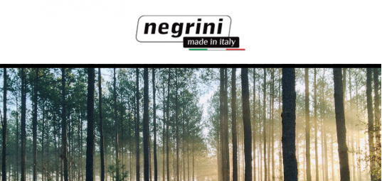 Negrini